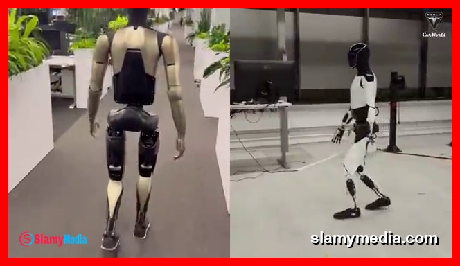 រូបភាពទាក់ទងនឹង Elon Musk "Tesla Bot Gen 3 Will Become Waiter", Optimus Complex Tasks Ready? (1)