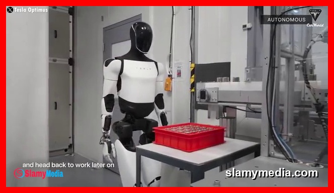រូបភាពទាក់ទងនឹង Elon Musk "Tesla Bot Gen 3 Will Become Waiter", Optimus Complex Tasks Ready? (3)