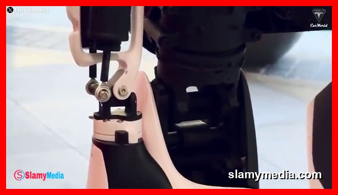 រូបភាពទាក់ទងនឹង Elon Musk "Tesla Bot Gen 3 Will Become Waiter", Optimus Complex Tasks Ready? (4)