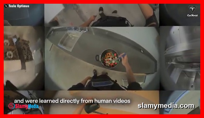 រូបភាពទាក់ទងនឹង Elon Musk "Tesla Bot Gen 3 Will Become Waiter", Optimus Complex Tasks Ready? (5)