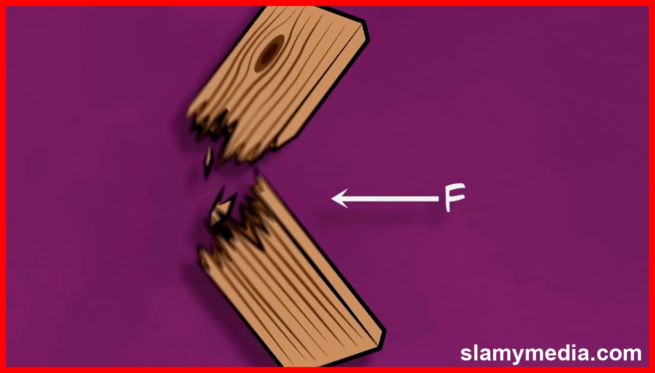 រូបភាពទាក់ទងនឹង Norway's Wooden Skyscraper Challenges Traditional Construction Norms (1)