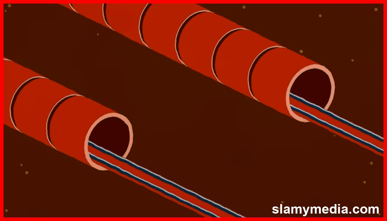 រូបភាពទាក់ទងនឹង Channel Tunnel: A Marvel of Engineering and History (2)