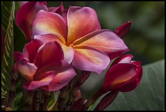 Most Parked Domains Now Serving Malicious Content detail 2