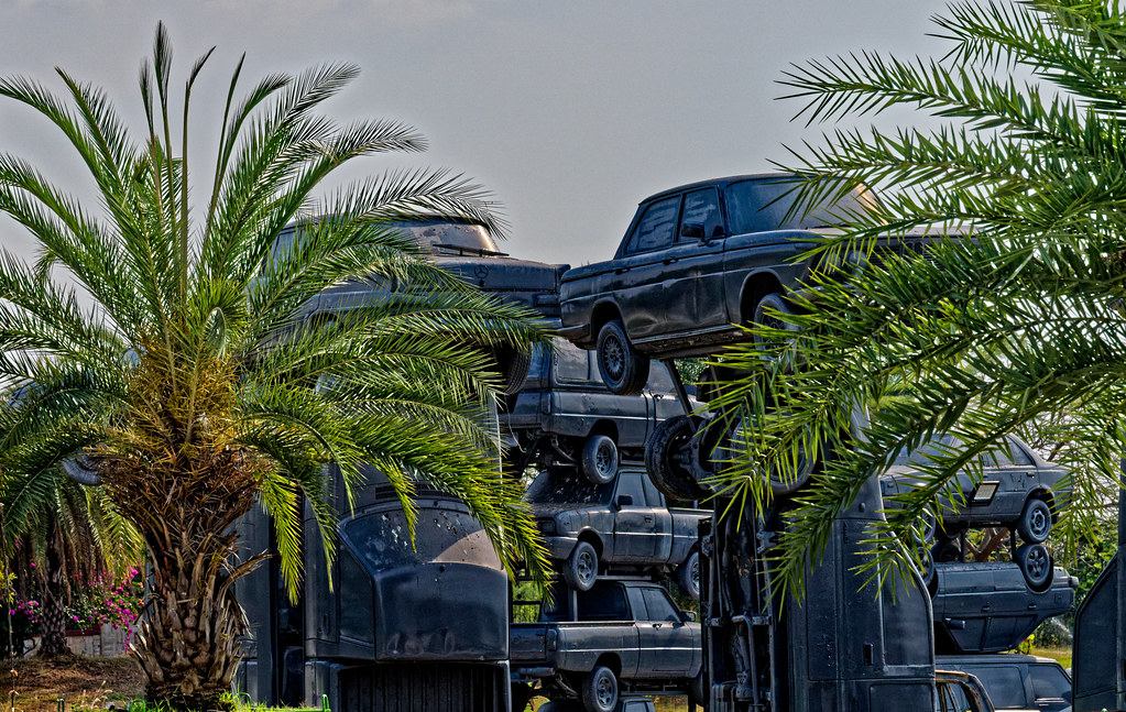 How gene loss and monogamy built termite mega societies