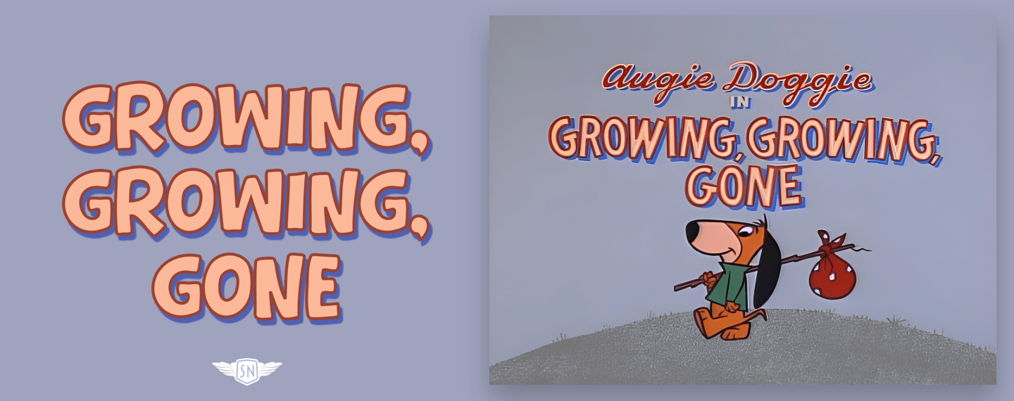 What’s !important #2: Conditional View Transitions, CSS/SVG Text Effects, the Best of CSS Bluesky, and More